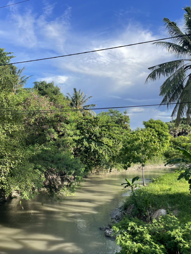 A Road Trip Through Waingapu – Where Horses Rule the Road 🐎🚗 