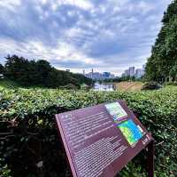 【東京】ランナーの聖地🏃‍♂️‍➡️と散歩に最適な5km