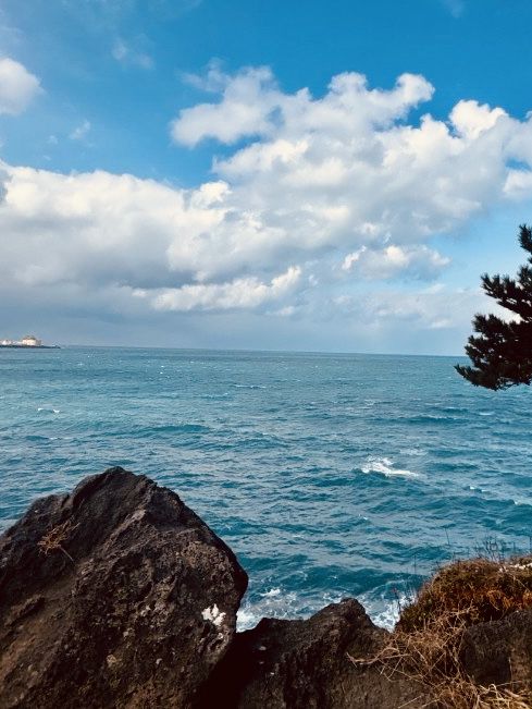 Expansive Sea Views & Windy Afternoons 💨💙  