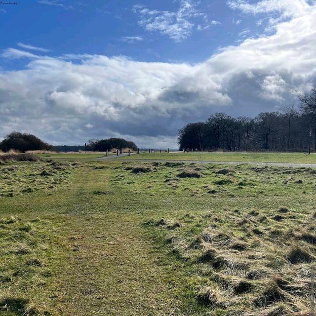 Richmond Park (London)