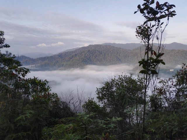 Bukit Panorama in Pahang