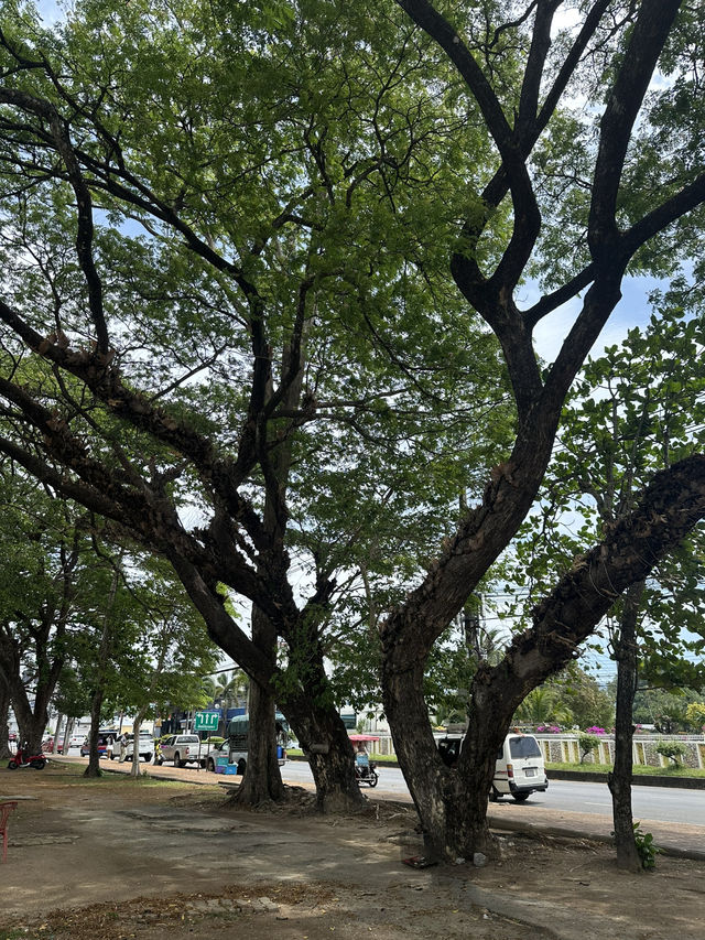 สวนสาธารณะทุ่งนาเชย