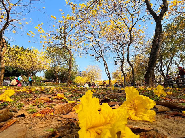 廍子公園