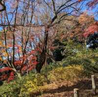 Tamagawadai Park (多摩川台公園)