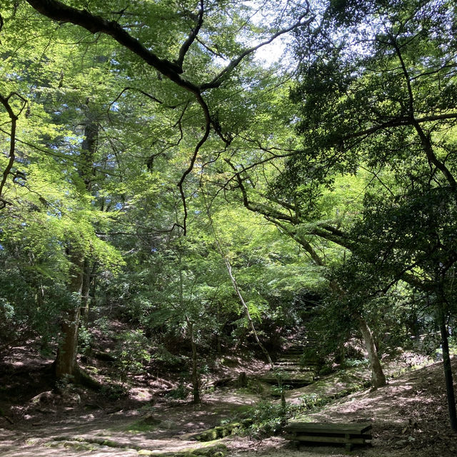 広島の世界遺産『厳島神社』