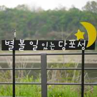 뭔가, 우리나라 다른 곳과는 다른 느낌의 연천