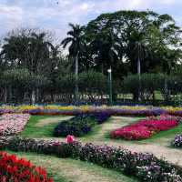 インドの緑に囲まれた癒しの公園🇮🇳