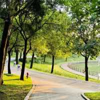 白蓮洞公園～城市綠洲