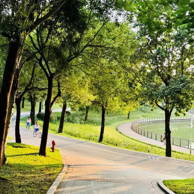 白蓮洞公園～城市綠洲