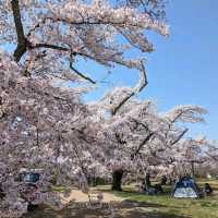 Mikamine Park (三神峯公園)