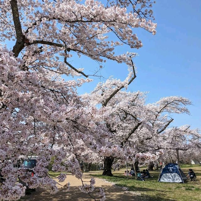 Mikamine Park (三神峯公園)