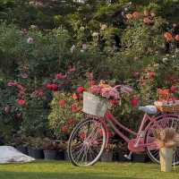 Fleur Cafe & Eatery • Mae Rim, Chiang Mai