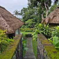 Maya Ubud Resort & Spa