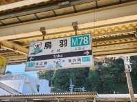 鳥羽水族館🪼蠻遠但值得一去