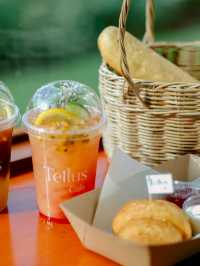 คาเฟ่เขาใหญ่ฟิลยุโรป