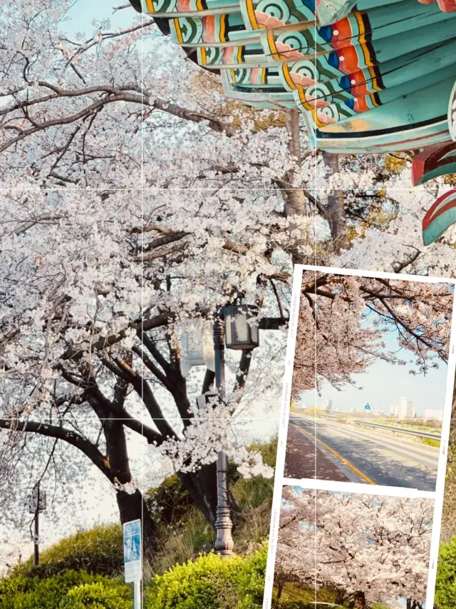 A Breathtaking View Over Gyeongpo Lake!