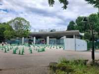 家族で楽しむ都心のリフレッシュポイント – 上野動物園で癒しのひととき