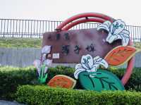 桃園| 秘境湖泊私房景點 溪海埤塘生態公園必來亮點,環湖步道、魚群奇觀、美景一次看夠