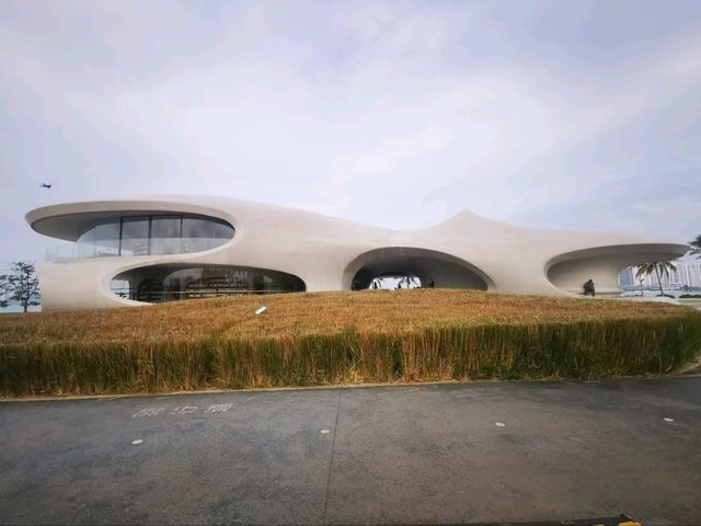 A Journey Through Time at Clouscape Library
