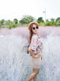 อากาศคาเฟ่ เครื่องดื่มอร่อย ที่พักวิวสวย