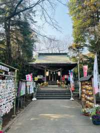 【新座】御朱印が綺麗で可愛い✨穴場神社‼️