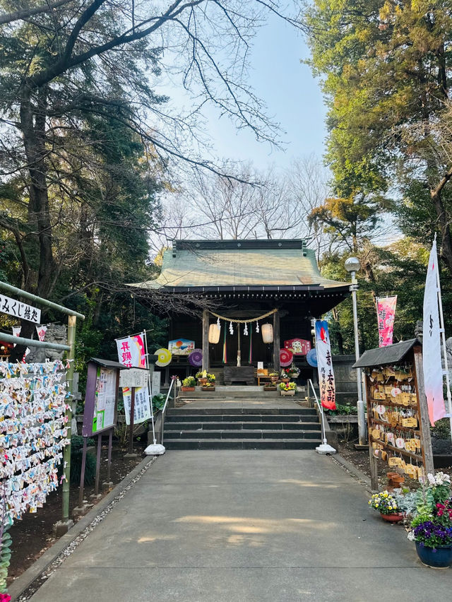 【新座】御朱印が綺麗で可愛い✨穴場神社‼️