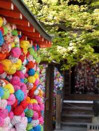 【京都×春旅】カラフルで人気のフォトスポット！