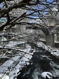 A Winter Wonderland Dream Come True at Bipenggou