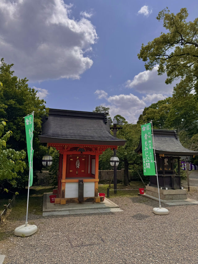 🏯 교토 필수 관광지 BEST 5 – 일본 전통 감성을 제대로 느낄 곳!