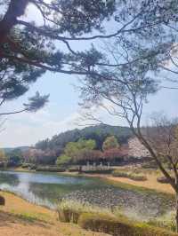 🌸 울산대공원 벚꽃 여행 🌸