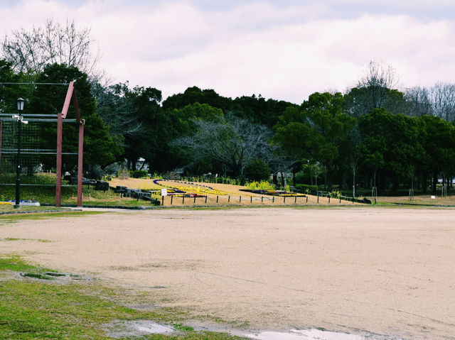 自然とふれあう、のびのび癒し広場🌸