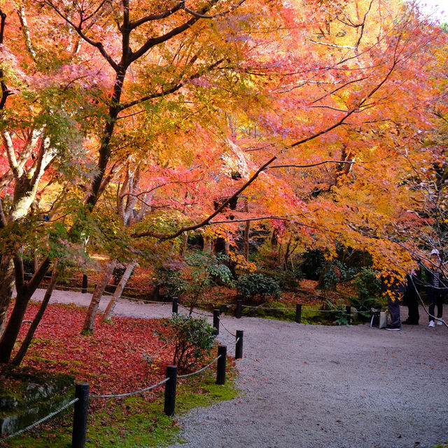 Kyoto không đông đúc - Enkouji Temple