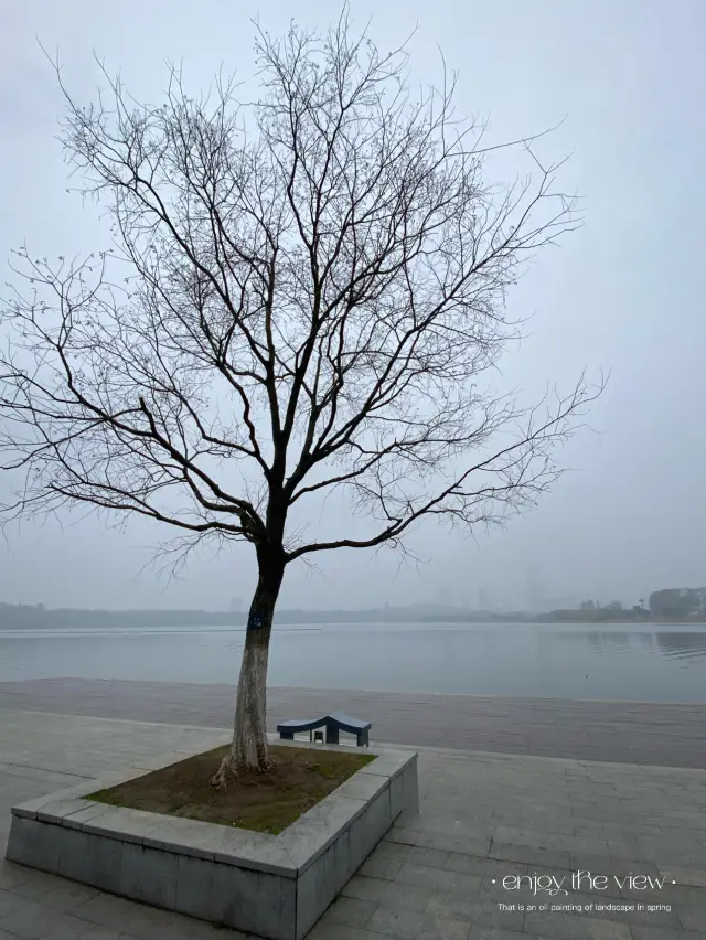 南京 玄武湖景區 情侶園 🌱 🪻