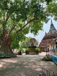 ขอพร วัดราชบูรณะ จังหวัดพิษณุโลก