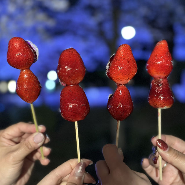 【名古屋観光】˗ˏˋ鶴舞公園の四季折々の魅力を堪能しよう🌸ˎˊ˗