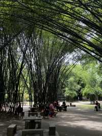 WANG JIANGLOU PARK