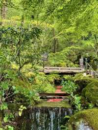 【石川×ゆのくにの森】茅葺き屋根の古民家や自然豊かな背景も楽しめます。