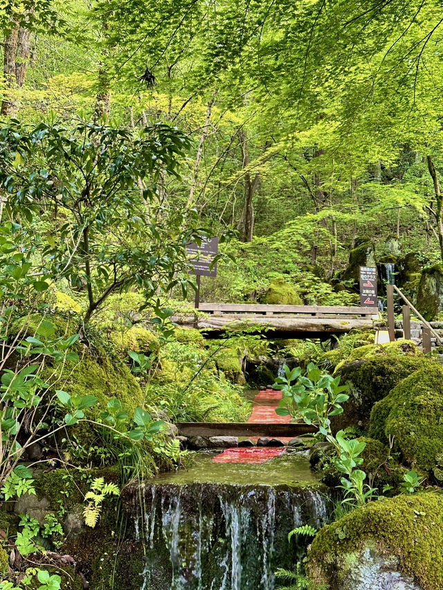 【石川×ゆのくにの森】茅葺き屋根の古民家や自然豊かな背景も楽しめます。