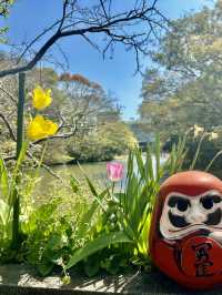 柳川~你会爱上的小镇