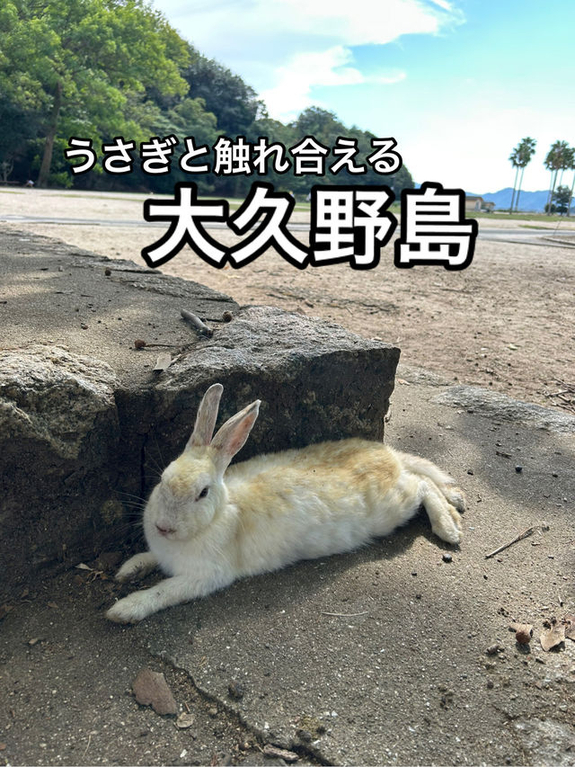 【広島】うさぎと触れ合える！実は悲しい歴史をもつ島・