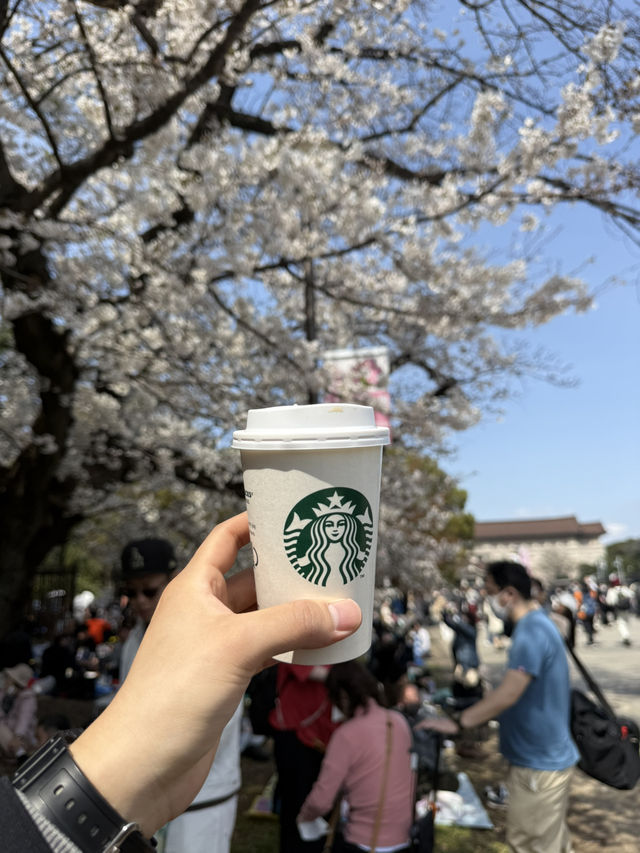 벚꽃 명소의 정석, 우에노 공원🌸