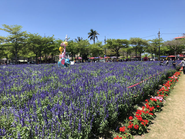 學甲蜀葵花季一日輕旅行～花牆爆炸美