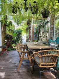 SIT UNDER TREE  Special Coffee & Home Roasters