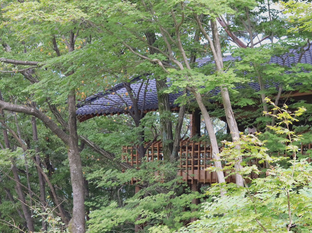 🌄 하동 삼성궁, 신비로운 돌탑의 세계 