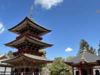 1 full day Solo trip in Narita Japan