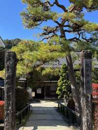 【南木曽で江戸時代にタイムスリップ!? 南木曽町博物館×脇本陣奥谷】