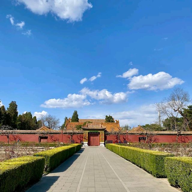 Jingshan Park (Beijing) – "Petals with a Palace View"