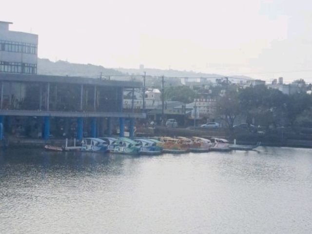 龍潭大池踩船賞美景