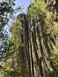 Suspension Bridge｜Tsingy 必體驗的高空挑戰