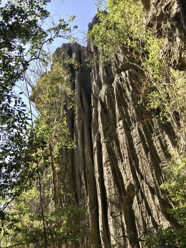 Suspension Bridge｜Tsingy 必體驗的高空挑戰